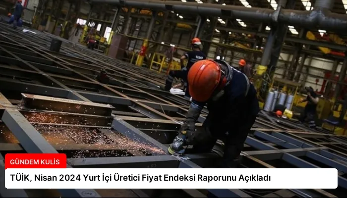 TÜİK, Nisan 2024 Yurt İçi Üretici Fiyat Endeksi Raporunu Açıkladı