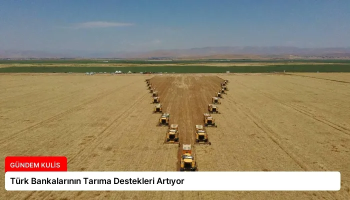 Türk Bankalarının Tarıma Destekleri Artıyor