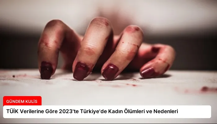 TÜİK Verilerine Göre 2023’te Türkiye’de Kadın Ölümleri ve Nedenleri