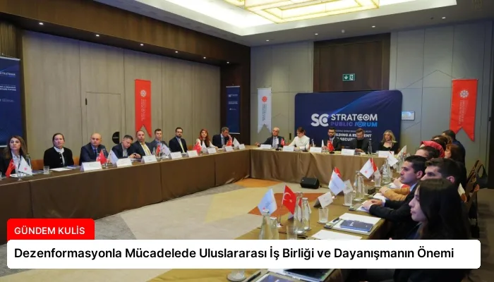 Dezenformasyonla Mücadelede Uluslararası İş Birliği ve Dayanışmanın Önemi