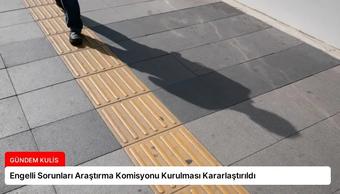 Engelli Sorunları Araştırma Komisyonu Kurulması Kararlaştırıldı