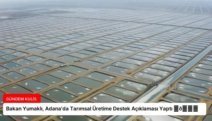 Bakan Yumaklı, Adana’da Tarımsal Üretime Destek Açıklaması Yaptı ⏬👇