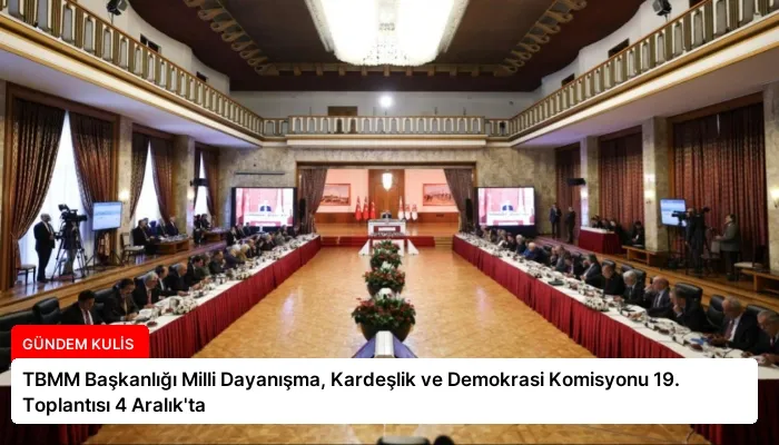 TBMM Başkanlığı Milli Dayanışma, Kardeşlik ve Demokrasi Komisyonu 19. Toplantısı 4 Aralık’ta
