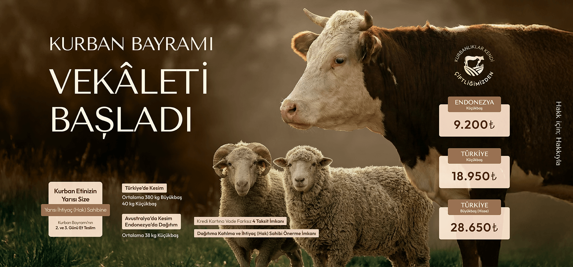 Kurban Bağışı: İbadetinizi Dünyanın Dört Bir Yanına Ulaştırmanın En Güvenilir Yolu