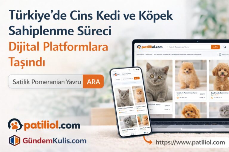 Türkiye’de Cins Kedi ve Köpek Sahiplenme Süreci Dijital Platformlara Taşındı