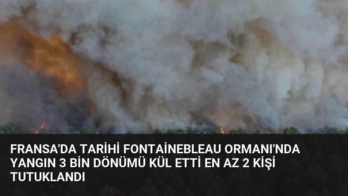 Fransa’da Tarihi Fontainebleau Ormanı’nda Yangın 3 Bin Dönümü Kül Etti En Az 2 Kişi Tutuklandı