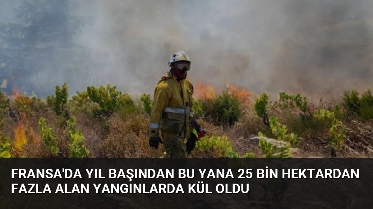 Fransa’da Yıl Başından Bu Yana 25 Bin Hektardan Fazla Alan Yangınlarda Kül Oldu