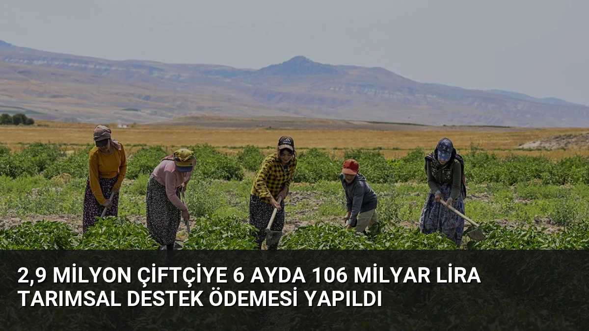 2,9 Milyon Çiftçiye 6 Ayda 106 Milyar Lira Tarımsal Destek Ödemesi Yapıldı