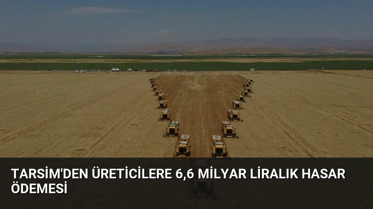 TARSİM’den üreticilere 6,6 milyar liralık hasar ödemesi