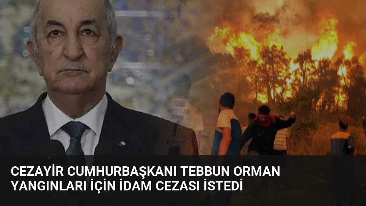 Cezayir Cumhurbaşkanı Tebbun Orman Yangınları İçin İdam Cezası İstedi