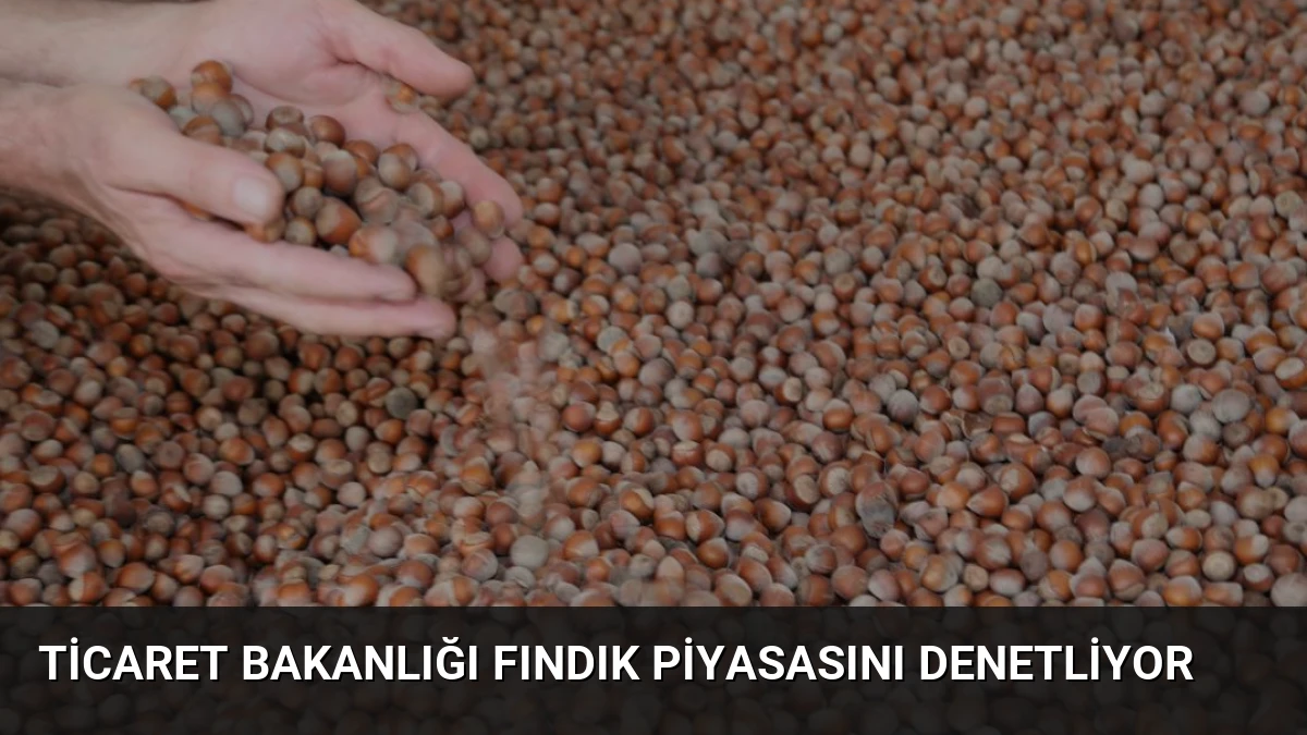 Ticaret Bakanlığı Fındık Piyasasını Denetliyor
